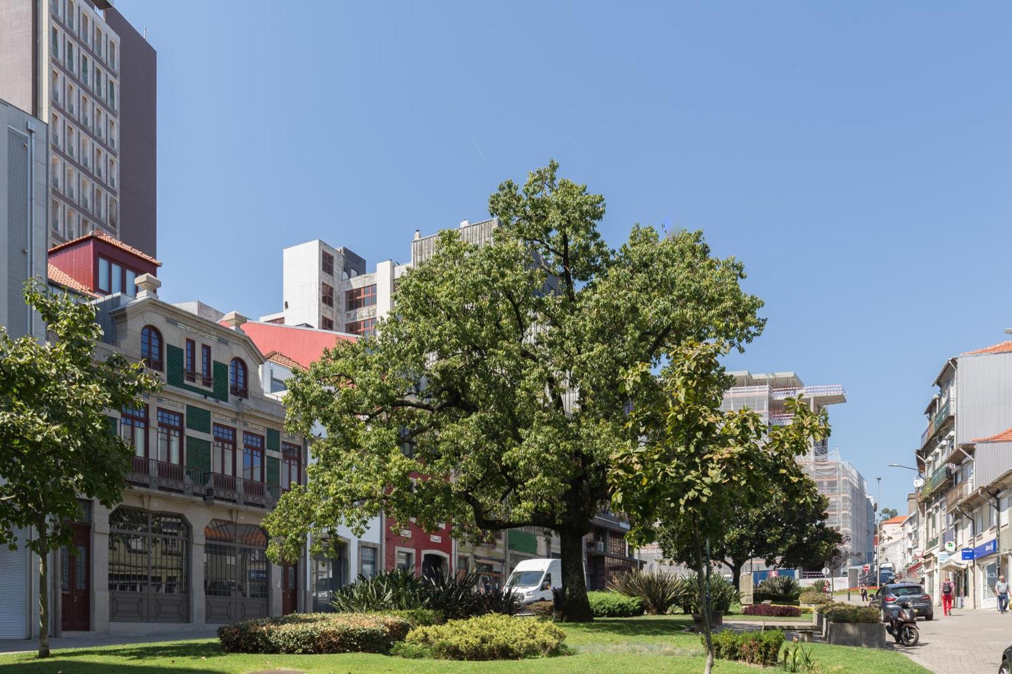 Qp Apartments Trindade Porto Zewnętrze zdjęcie